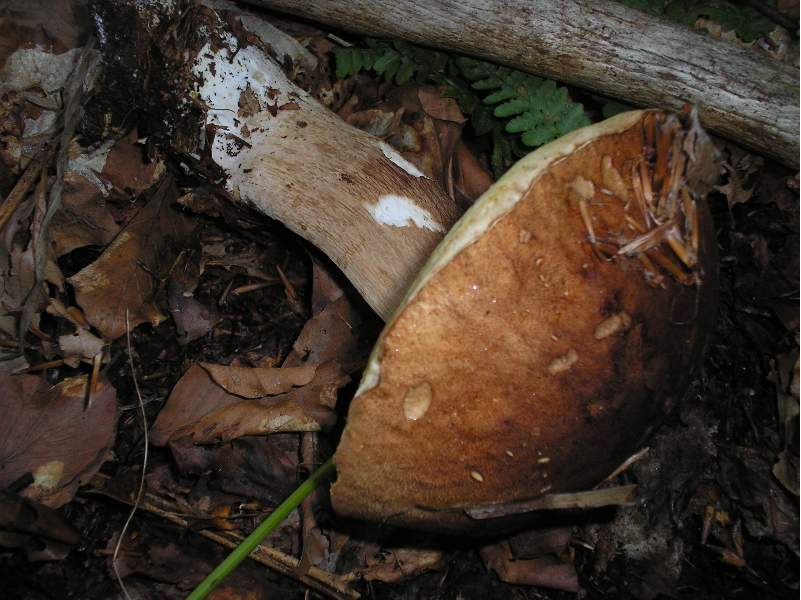 grazie allo sciopero....